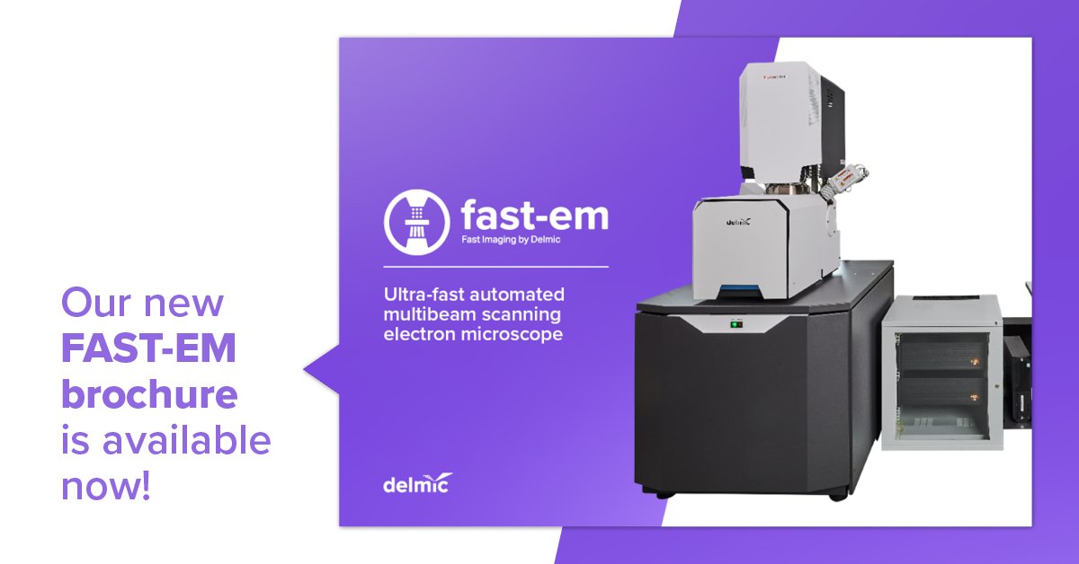 delmicbv's tweet photo. Start acquiring large datasets with FAST-EM and comparing samples of tissues at different points in time, or biological material that was subjected to different treatments, without compromising image resolution.

Learn more 👉 https://t.co/YWlboXXzx4

#delmic #em #fastem https://t.co/wxEuQYflHt