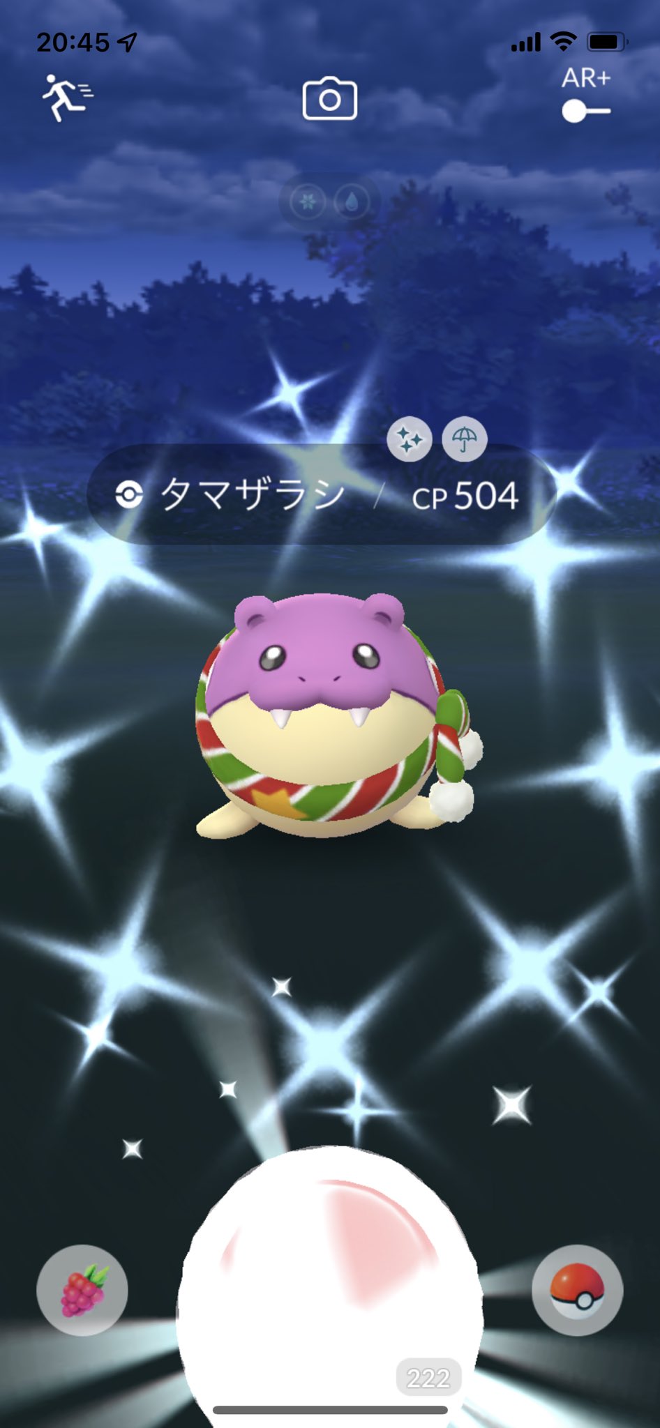 色違いタマザラシ Twitter Search Twitter