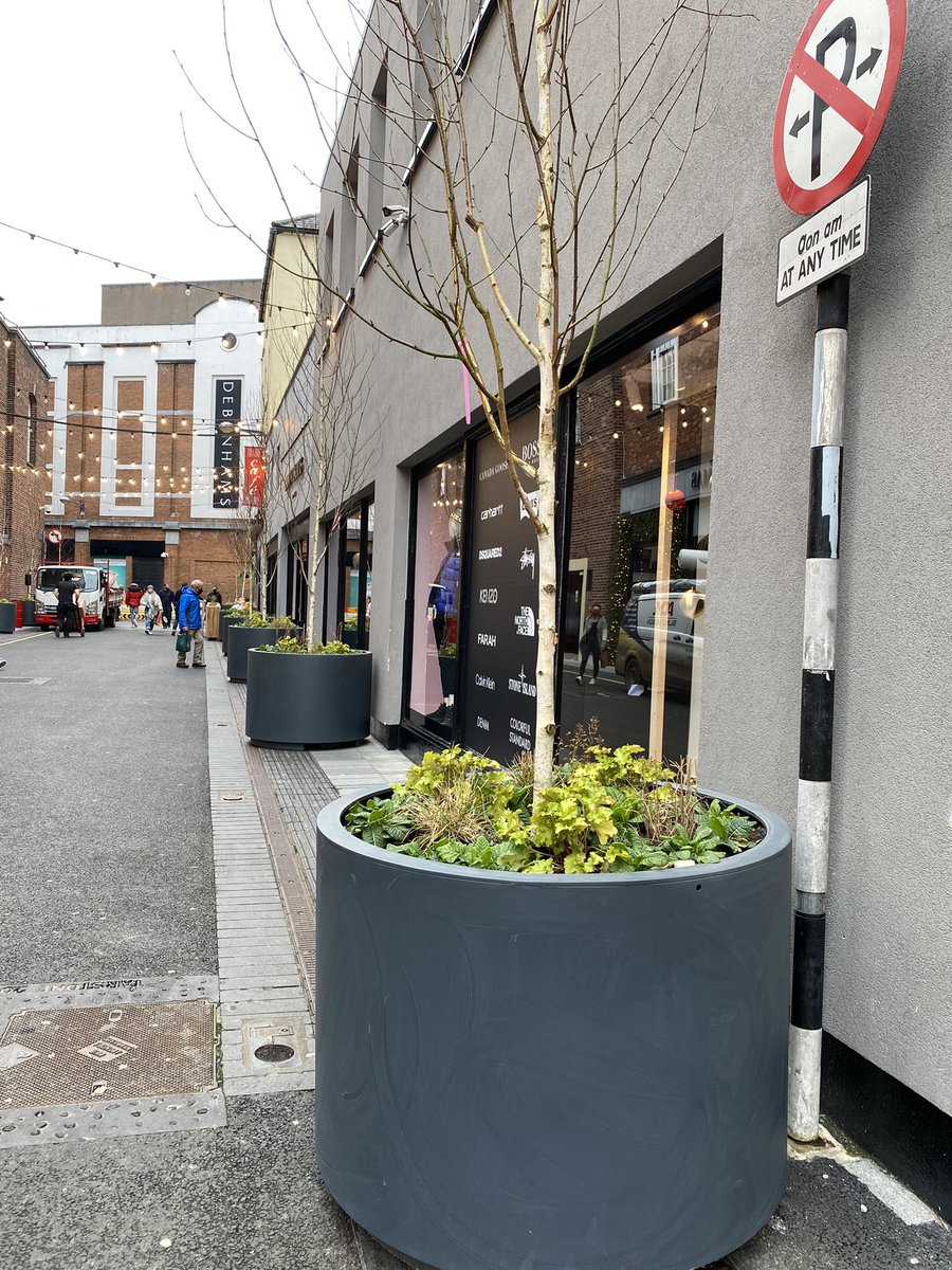 Love. Love. Love what is being installed on Caroline Street today.

What a positive effect on the streetscape. Trees, benches, planting. 

Credit to <a href="/corkcitycouncil/">Cork City Council</a> <a href="/CCotterNaessens/">Cotter&Naessens</a> and all involved in making this happen.

#WeAreCork #PureCork