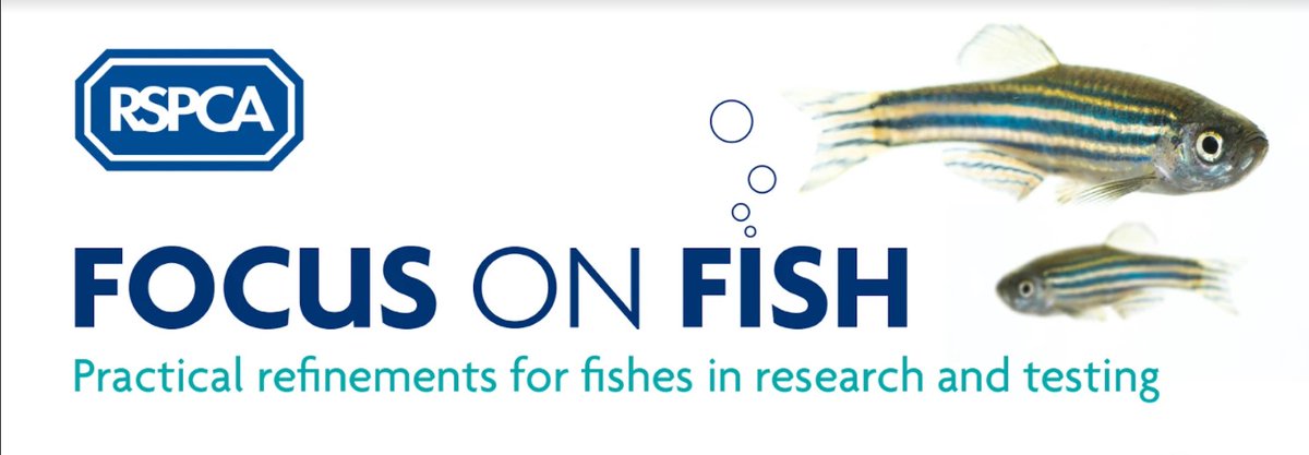 RSPCA_LabAnimal's tweet photo. Weβve held lots of events - including #FocusOnFish in February, which brought together over 600 participants from more than 40 different countries to hear about animal welfare and 3Rs advances for laboratory fishes https://t.co/PWkUBaNJti https://t.co/Gh1aZvxScy