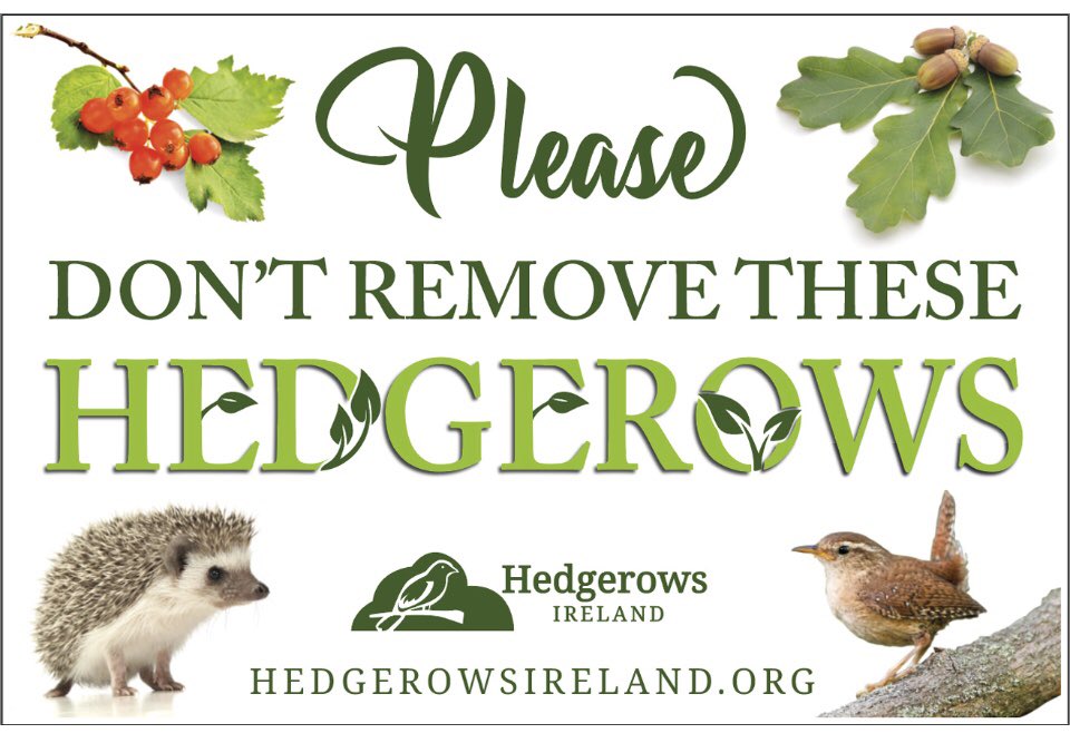 We can stop needless hedgerow removal with people power.