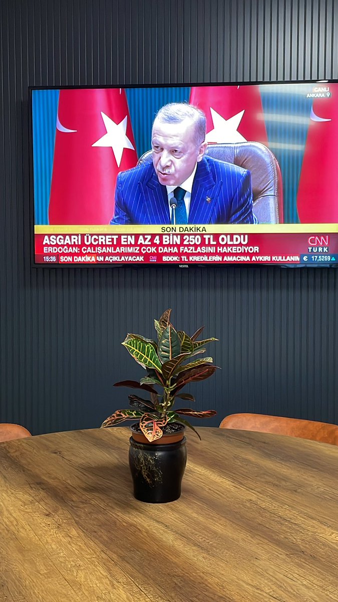 DeryaBacac's tweet photo. %50 seviyesinde artan asgari ücretin ülkemize, tüm çalışanlara ve iş dünyamıza hayırlı olmasını diliyorum…
#asgariucret 4 bin 250 ₺ @RTErdogan https://t.co/dJdcADNeoK
