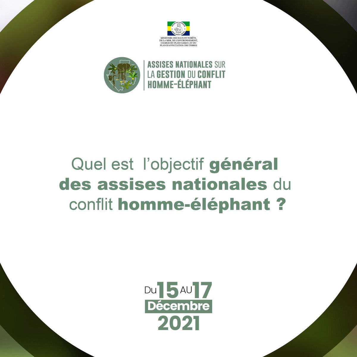 ForetmerGOUVGA's tweet photo. Les Assises Nationales sur le conflit homme-éléphant vont permettre la validation d’une stratégie nationale et l’adoption d’un plan d’action national.

#CHEGabon #CHE https://t.co/l5cS4LtBVG