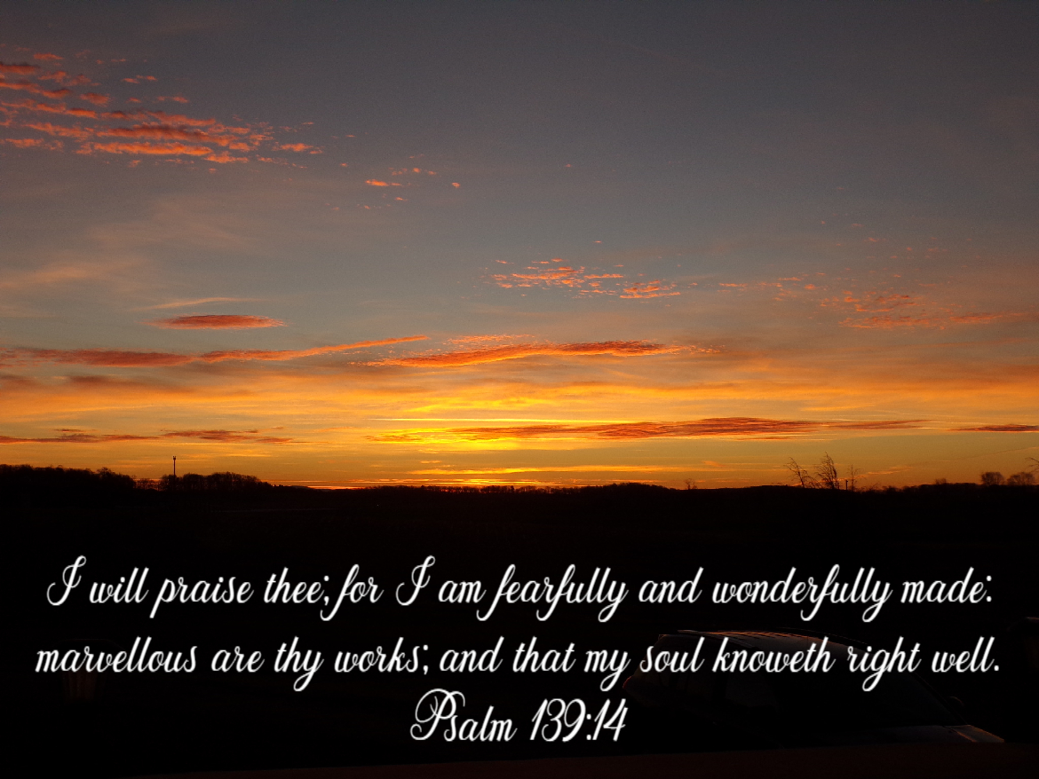 MandieG_MacRaye's tweet photo. #GodsHandywork
God painted this masterpiece as I received a message, out of the blue it appeared, Psalms 139:14. Thank you to the person that sent it! https://t.co/2i5iUvpvZm