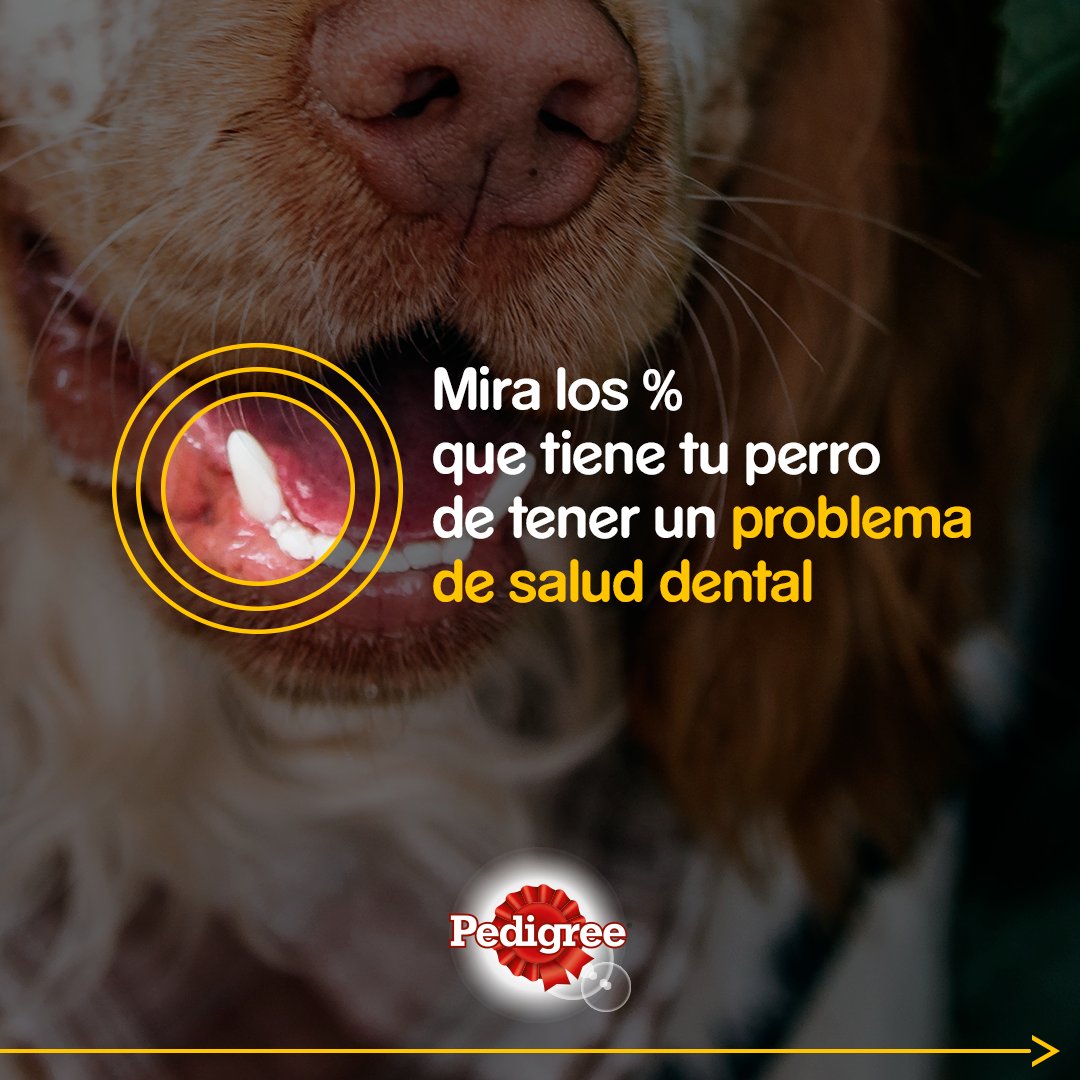 Pedigree ES tweet media