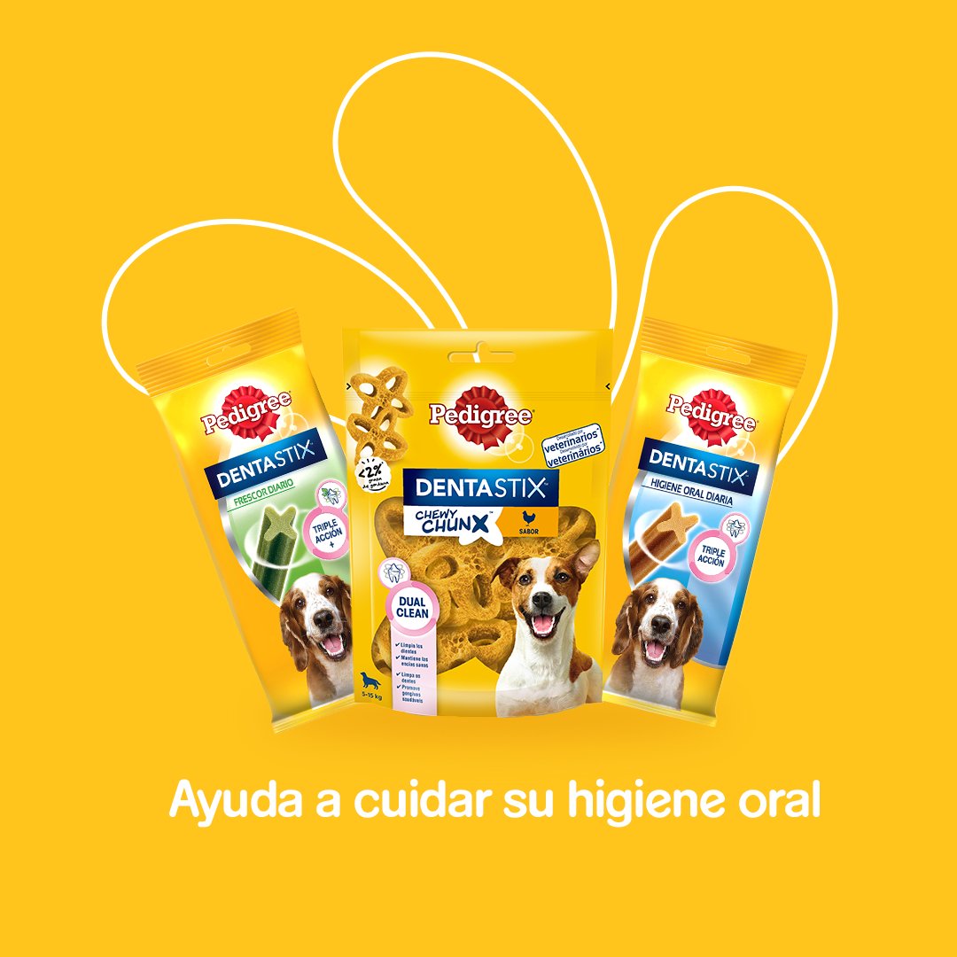 Un estudio desarrollado por WALTHAM Petcare Science Institute revela los factores que pueden influir en los problemas de salud dental de los perros. ¿Conocías estos datos?