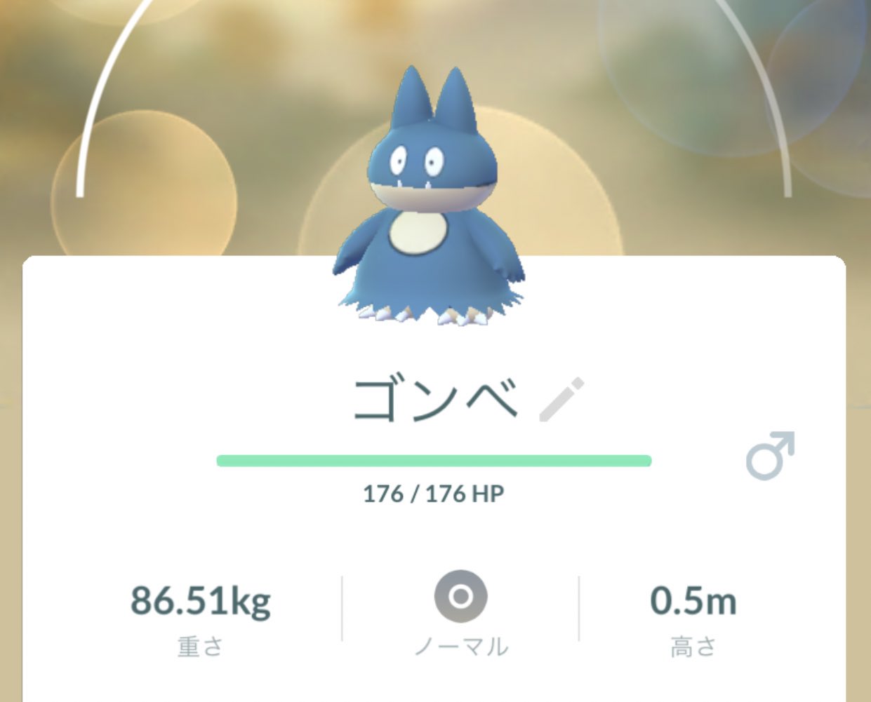ｺﾞﾝﾍﾞ Twitter Search Twitter