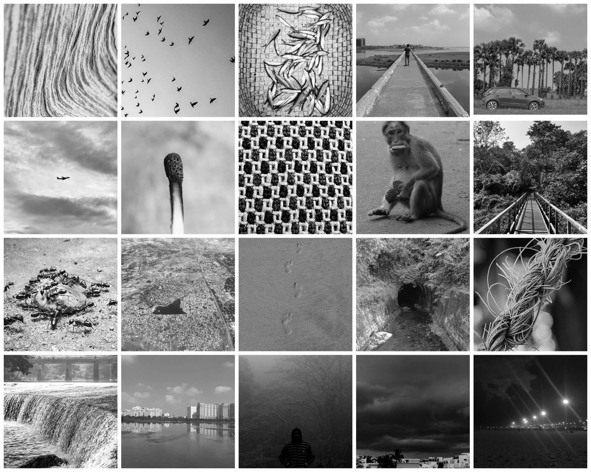 ClicksbyDk's tweet photo. Here is my Collection available on @opensea &amp; @withFND

MACRO SERIES
https://t.co/HnBOTsXWC5

BNW Series 
https://t.co/cjYkfvP7ES

RETURNS OF THE KING
https://t.co/yxqujQFnAs

STRANGE TREEHOPPER
https://t.co/dpTvjMF9d3

MACRO WORLD
https://t.co/QS15u8pGPW

#NFTCommunity #NFTs https://t.co/rtdwKugXB2