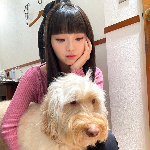 YurinaUnion's tweet photo. 211216 [IG Update]

#YURINA in hitomi__nonaka's Instagram post

#KawaguchiYurina #카와구치유리나 #유리나 #川口ゆりな #YURINA https://t.co/DL23JATUMK