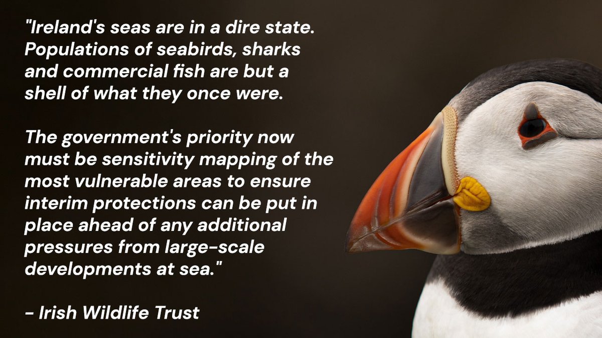 Tomorrow, the #MAPBill is back in the Seanad. This bill will carve up our seas for industry while Ireland only has 2% #MarineProtectedArea coverage. Sensitivity mapping won't be completed until the end of 2022 and MPA legislation will have to wait until 2023...