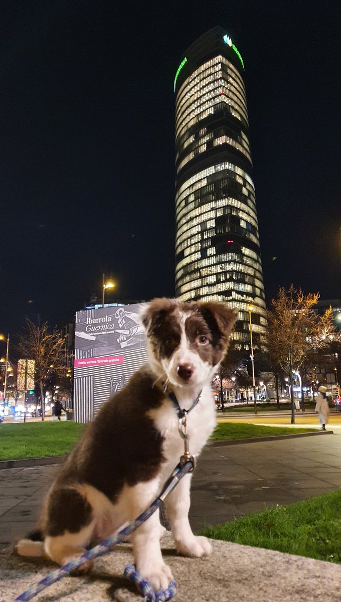 iparatx's tweet photo. Mi amiga #Freyja opina que la inflación no es tanto de precios como de puertas giratorias.

#Tejerina #Iberdrola  #CesarPelli  #Bilbao #LoveThisCity https://t.co/nYBXZjzra2