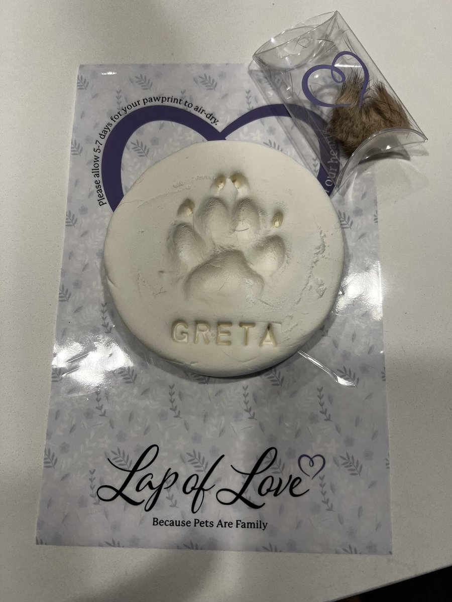 BTSJon1's tweet image. My heart is broken as I had to say goodbye to my sweet Greta this week. I had to change my alarm clock music from My Universe to random bells because I would wake up and sing it to her every morning.  Losing an 11 year companion sucks.