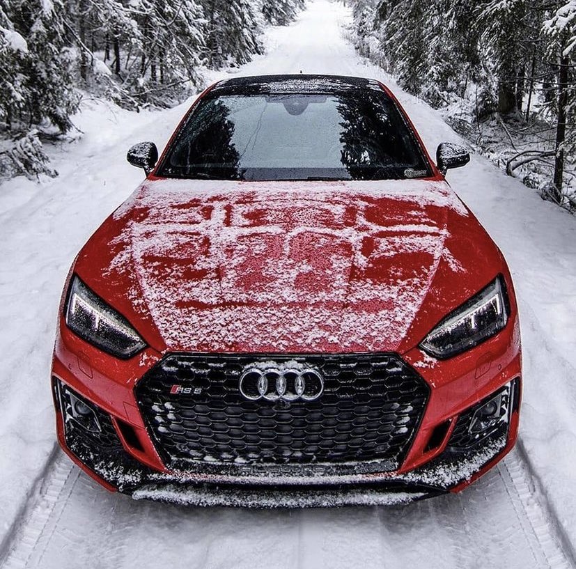 LuxuryCars365's tweet photo. Audi RS5 ❄️ https://t.co/BQbfIjLwnM