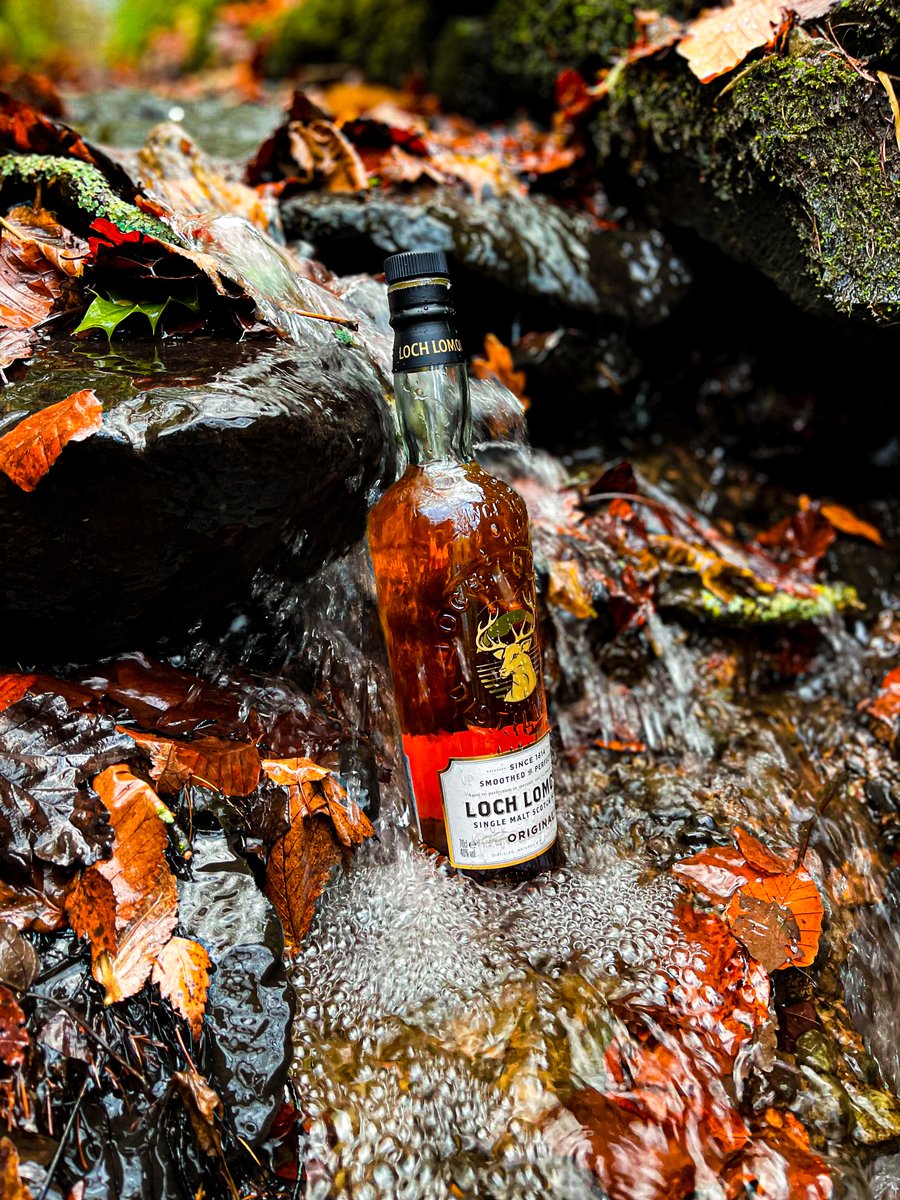 Loch Lomond Original is a perfect representation of our signature style, delivering a burst of sweet honey and citrus notes with a gentle hint of smoke on the finish. 

An award-winning single malt, aged in American Oak casks from our on-site cooperage.

📸 <a href="/David_H_Chef/">David Hetherington</a>