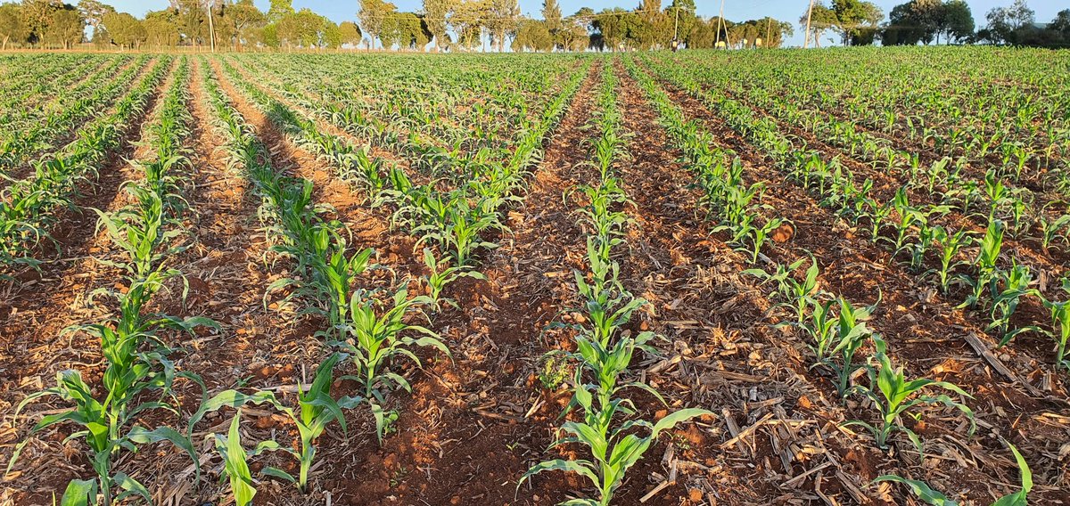 Farmers No Borders tweet media