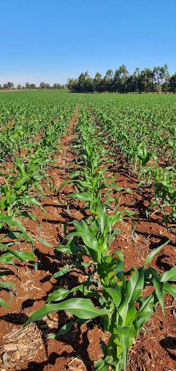 Farmers No Borders tweet media