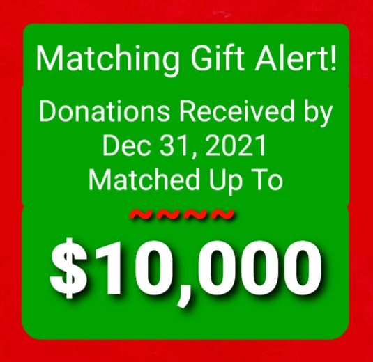 Longtime supporter of the COC has offered to match donations received by The COC (formerly known as Christians Overcoming Cancer) by the end of the year up to $10,000!

Help us reach the goal for maximum matching! <a href="/MaryJayee1967/">Mary Jenkins</a>

facebook.com/donate/2752226…