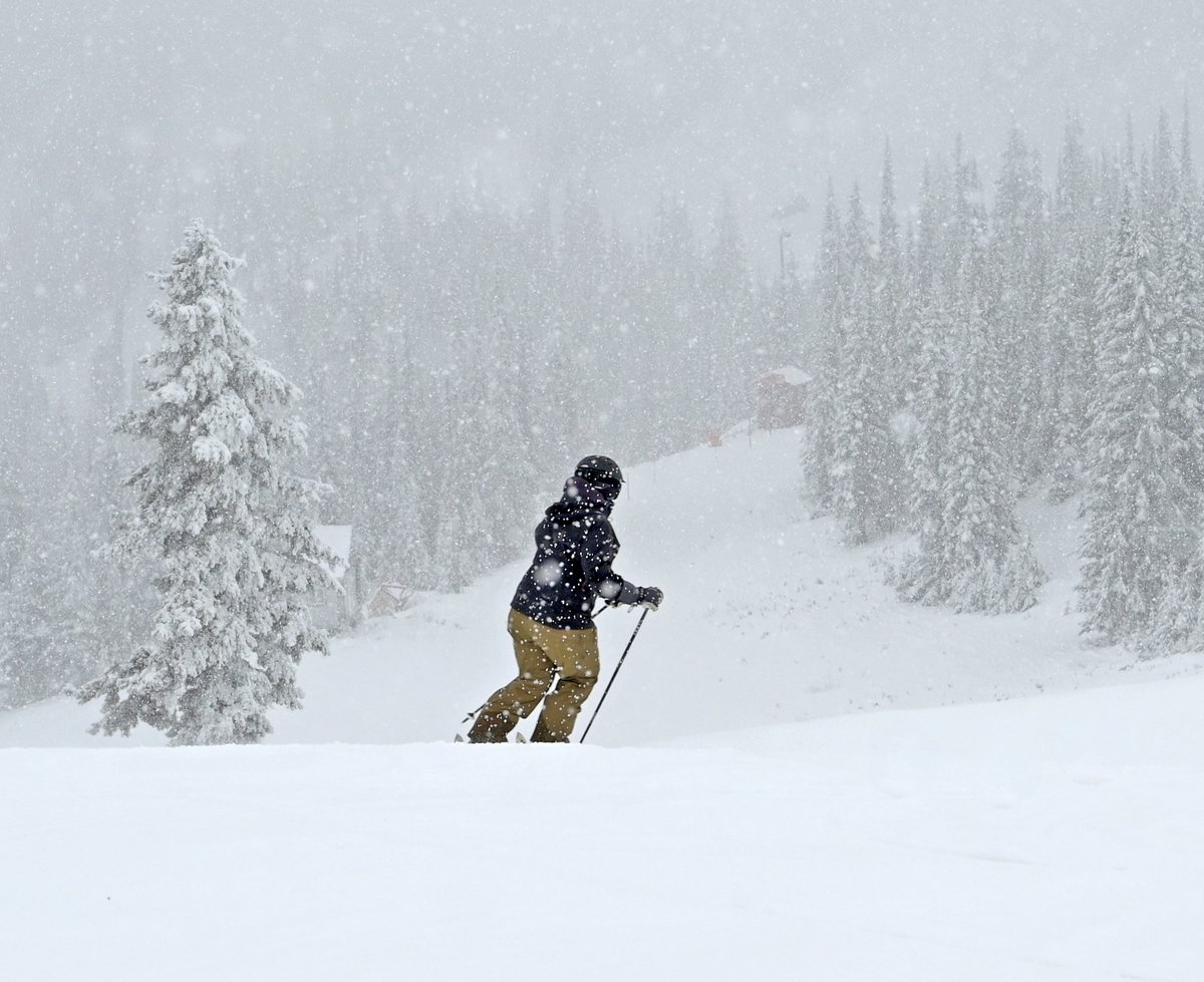 SchweitzerID's tweet photo. #midweekbliss https://t.co/OK6RH0PjAm