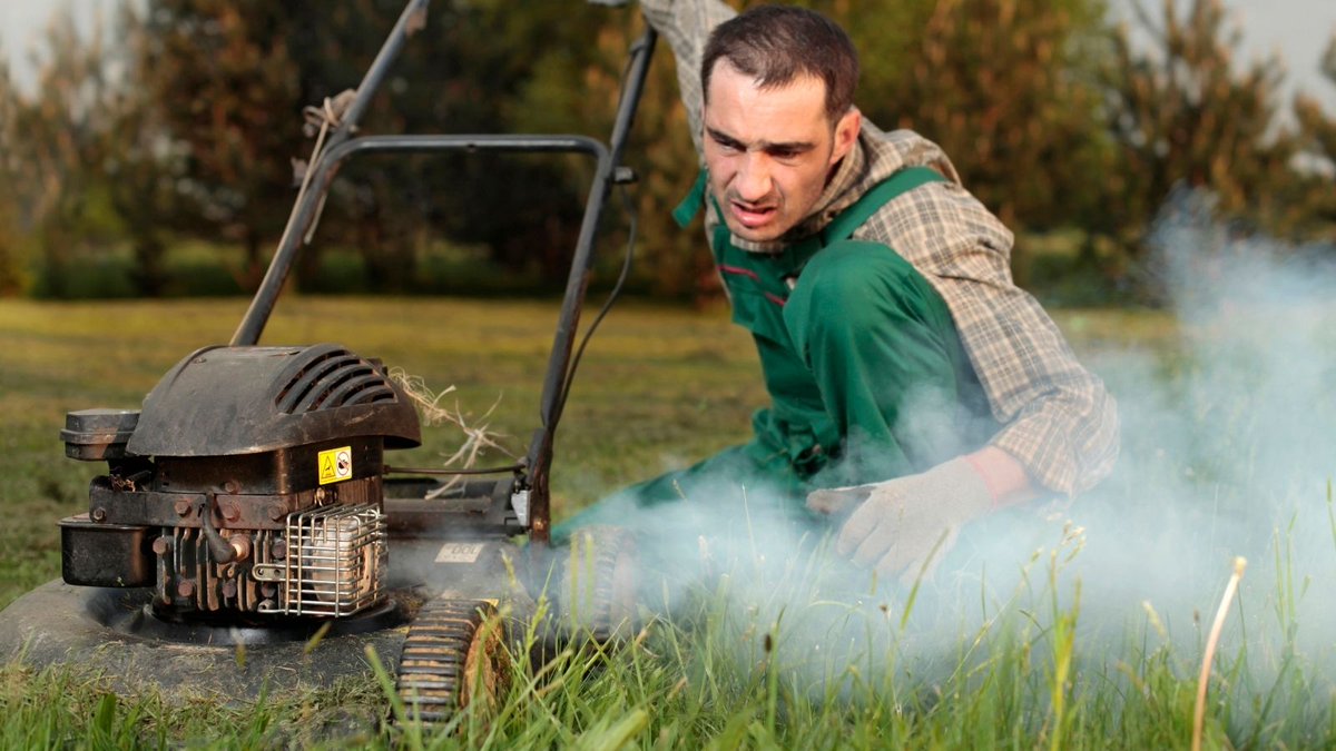 atcolawnmowers's tweet photo. Time for a new lawn mower?

Treat your lawn to a shiny new mower this Christmas with ATCO!

Find your dream mowing machine at https://t.co/f50L8a9SWo

#christmas #gifts #presents #lawnmower #mowing #garden #gardening #mygarden #newmower #ATCO #thefinestcutofall https://t.co/j44ugRjRLe