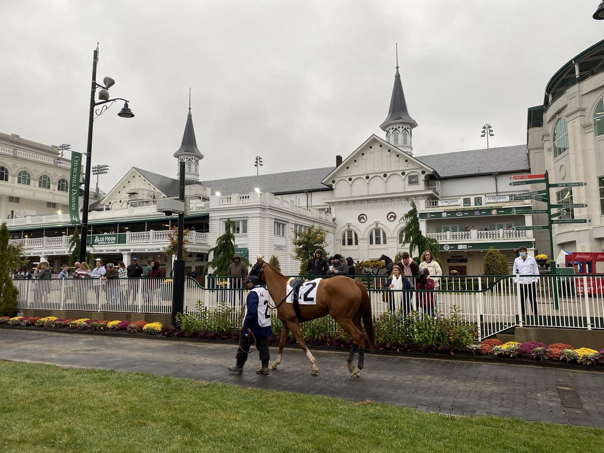 Race day for our girl Thundering Creed at Turfway Park. Hoping for a good clean trip!