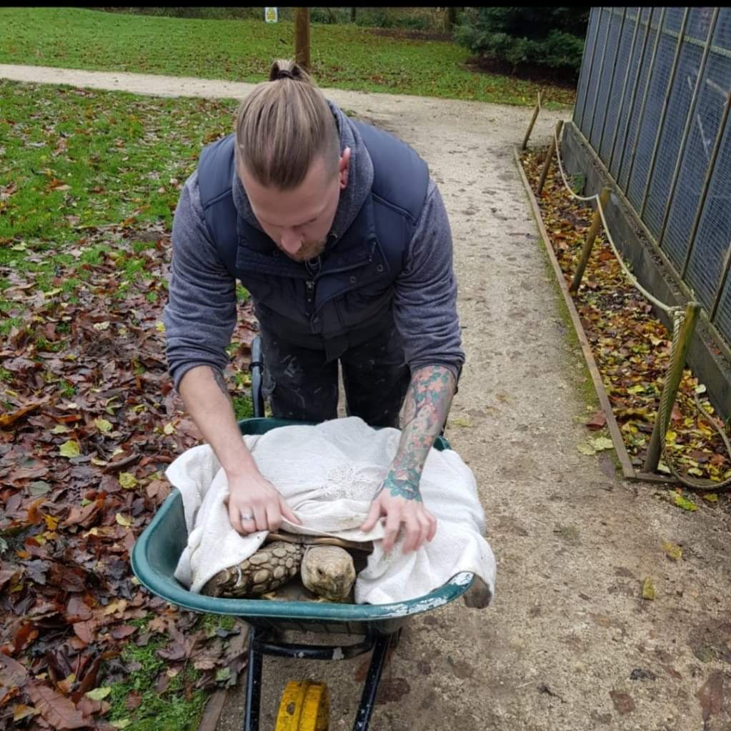 Our giant tortoises have moved home! 🐢➡️

Our group of sulcata tortoises have moved to their new home in the Animal Training &amp; Enrichment Academy! We can't wait to show off their new enclosure to our visitors!