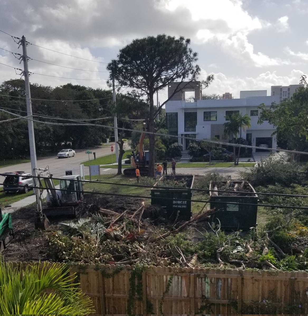 ElisaInFla's tweet photo. Sad day in Boca Raton as developer takes down this beautiful tree.  #sad #BocaRaton https://t.co/NyaHiGjbdW