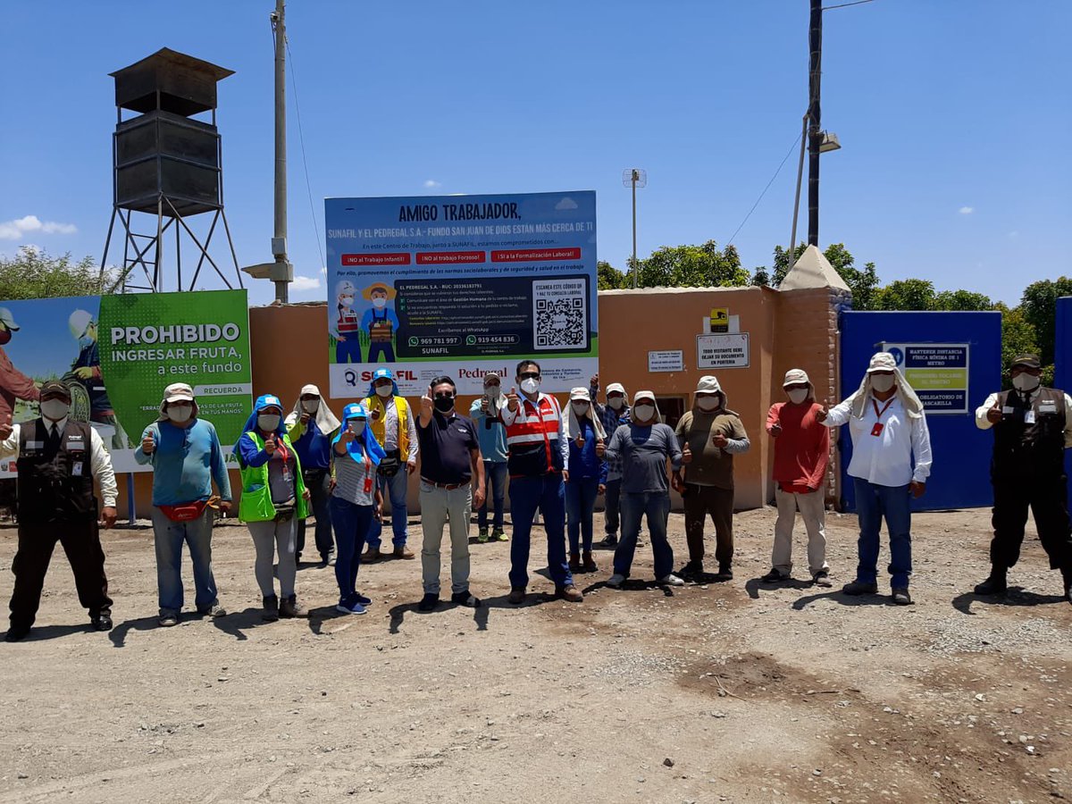 SunafilPeru's tweet photo. 📢#SUNAFILEnIca:
El equipo de la #IREIca continúa con la instalación de los carteles de #InfoChamba en la región. Estos carteles se colocaron en los pórticos de ingreso de la empresa agrícola ‘El Pedregal’ S.A.
#SUNAFILCadaVezMásCercaDeTi👍🏼 https://t.co/LHY2HcjZm3