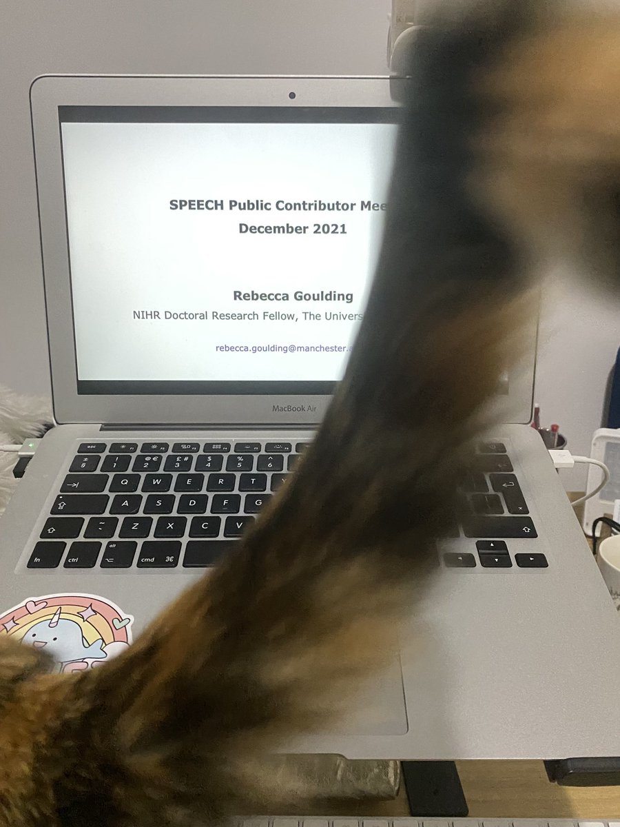 RGouldingUoM's tweet photo. Something keeps getting between me and my preparation for the final public contributor meeting for the SPEECH study. What could it be? #SpeechStudy #AcademicsWithCats https://t.co/XqyvCgwYBq
