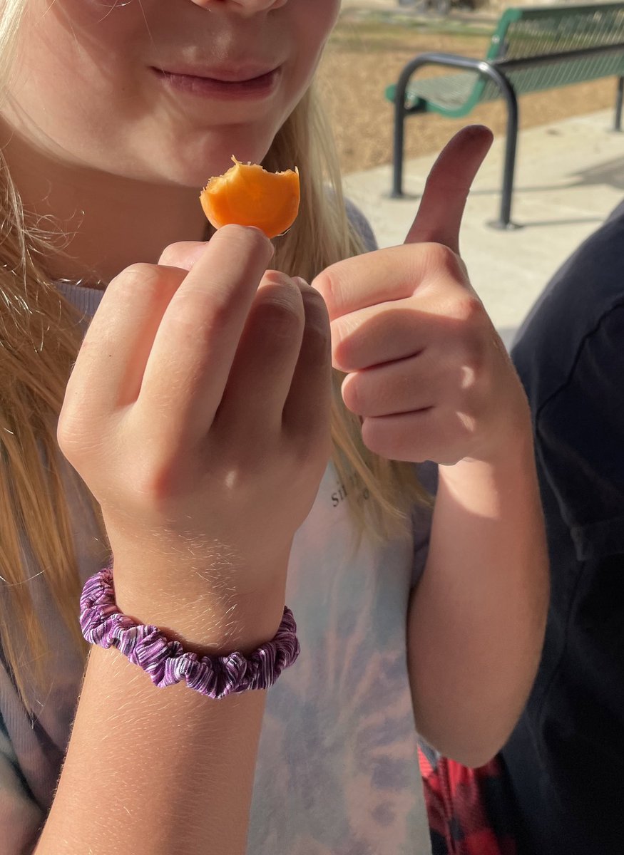 Mrs. Irshad (@irshadrtgg) on Twitter photo Today 5th graders at <a href="/FrostwoodElem/">Frostwood Elementary</a> found caterpillars, tasted carrots and learned all about strawberries! π₯ππ¦ <a href="/readygrowgarden/">Ready to Grow Garden</a> <a href="/SBISD/">Spring Branch ISD</a> Today 5th graders at <a href="/FrostwoodElem/">Frostwood Elementary</a> found caterpillars, tasted carrots and learned all about strawberries! π₯ππ¦ <a href="/readygrowgarden/">Ready to Grow Garden</a> <a href="/SBISD/">Spring Branch ISD</a>
