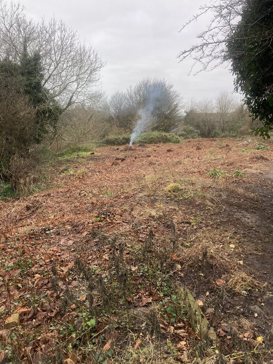 Fantastic work this morning by our wonderful volunteers and Greener Futures. Clearing and burning the Japanese Knotweed!