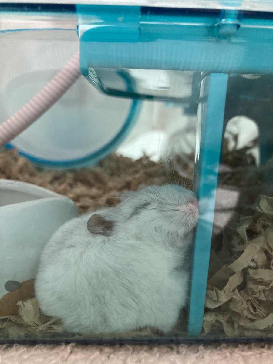 坂井剛志 tweet media