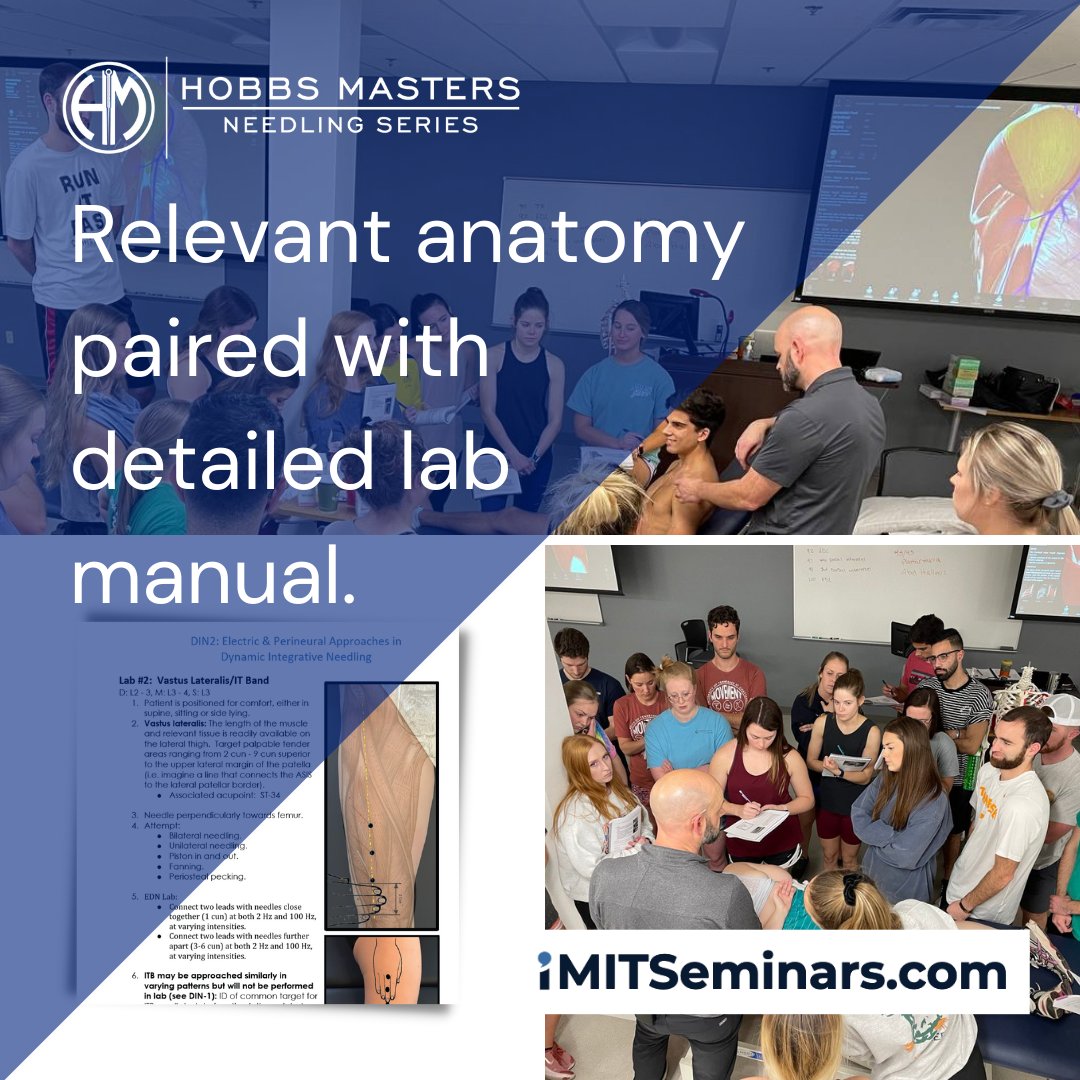 iM.IT Seminars tweet media