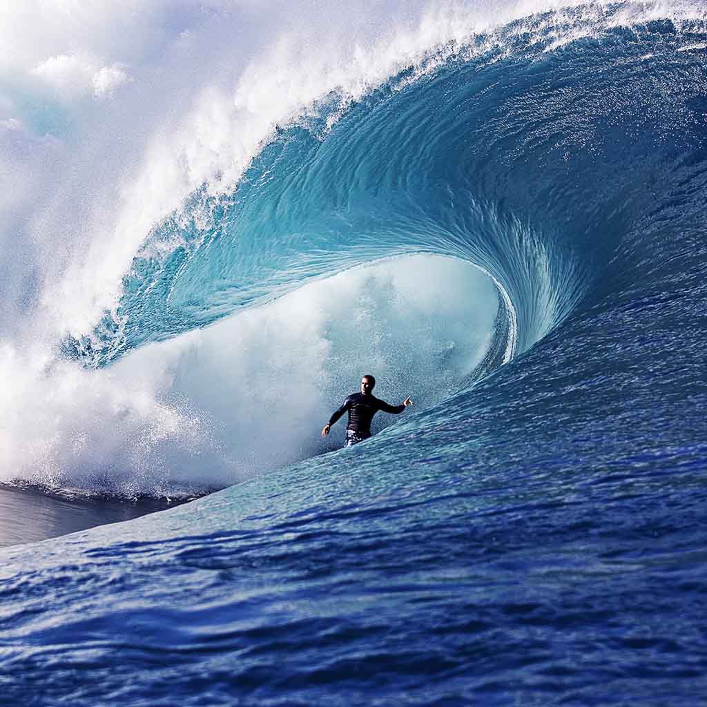 Cryptograph tweet media