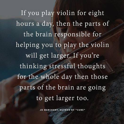 MYCOHP's tweet photo. If your brain develops immersed in traumatic stress, that's apt to cause developmental trauma.

#ItsNotJustClutter
#HelpHoardedChildren

https://t.co/ZYfYJJaoCc

#HumanizingHoarding
#Hoarding Awareness https://t.co/xBYg2iV2xg