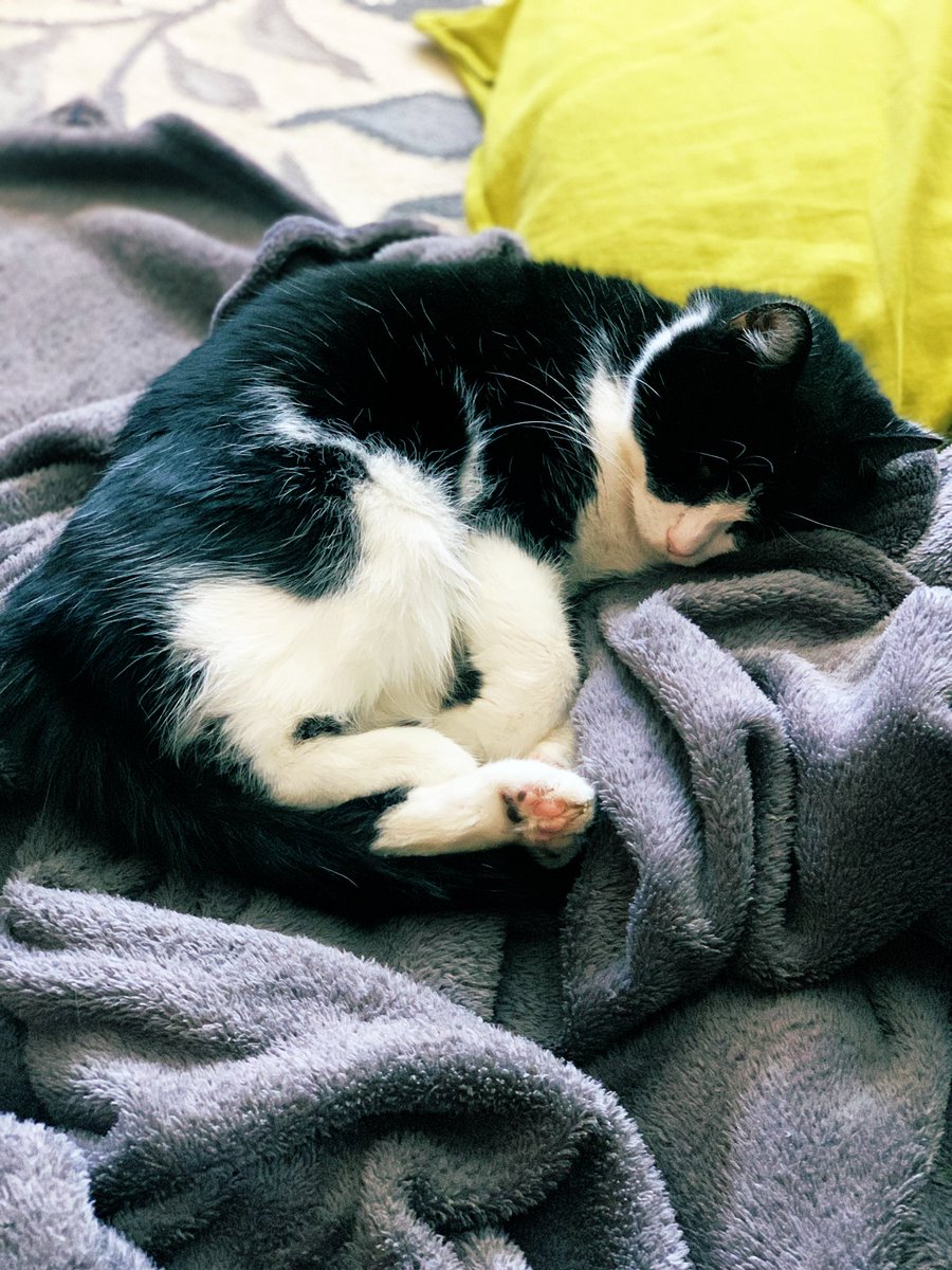 Peter Iveson tweet media