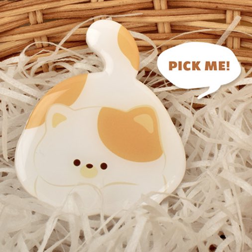cuterockstarcat tweet picture
