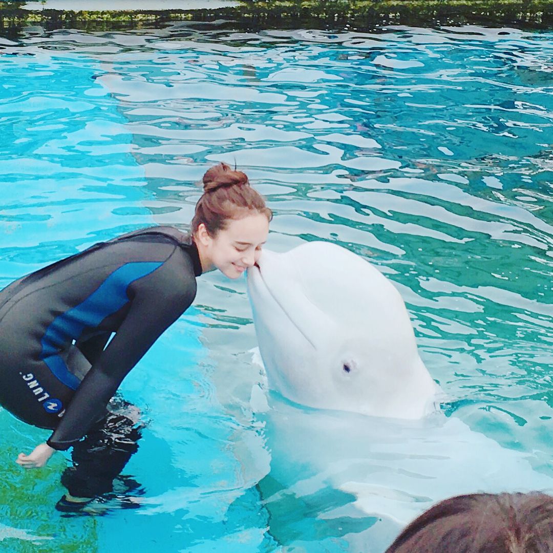 KS90NY's tweet photo. @ 𝐬𝐞𝐚𝐦𝐢𝐧𝐧 update. — #ksgram + #tbt 

O amor por animais marinhos é enorme e eu quase me tornei uma bióloga marinha 💙🐬 https://t.co/63HyIFCsOA