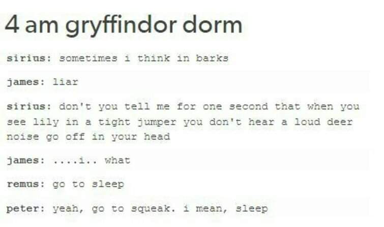 Those late night conversations in Gryffindor Tower be like