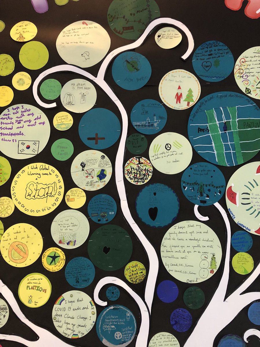 sev_bottin's tweet photo. Our tree of hope is blossoming in Upper Primary for a bright, joyful and healthy 2022 🕯🌟💛 @BSB_Brussels #hope #Happy2022 https://t.co/meUB9hED5L