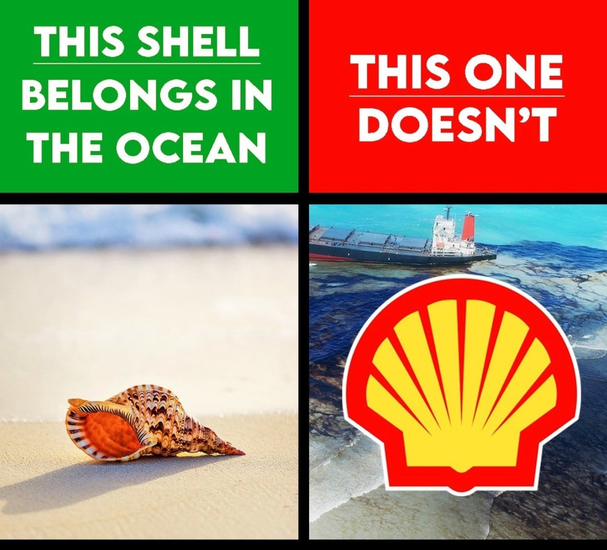 Fridays4FutureU's tweet photo. To: the CEO of @Shell:

“Don't blast South Africa’s fragile Wild Coast - threatening a diverse ecosystem and precious whale breeding grounds, the fight against climate change, and local communities’ livelihoods.” #StopShell

Sign &amp; share the petition👇 https://t.co/kHd4eC071D https://t.co/9dowVuR9Hp