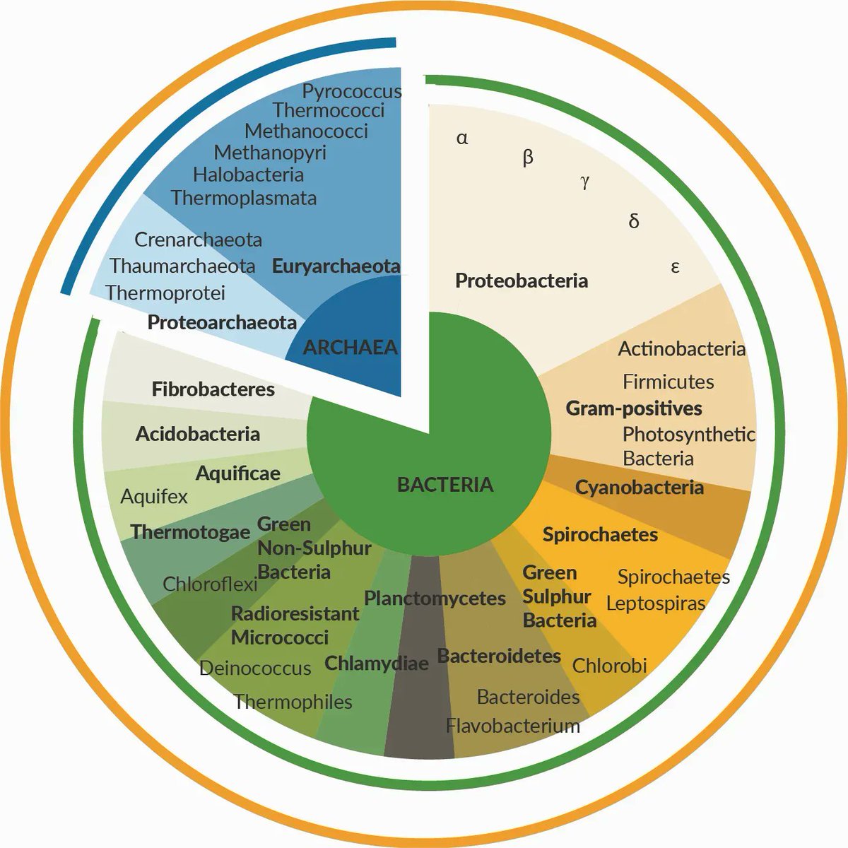 siTOOLsBiotech's tweet photo. #LMU uses riboPOOLs:
Read more about the findings of the complex #mRNAmodification pattern in #Ecoli and how it changes in the transition of exponential growth to the stationary phase and upon stress induction.
https://t.co/G2glXVevpX
Published by Dimitar Petrov et al. #research https://t.co/f1Svc0fpR1