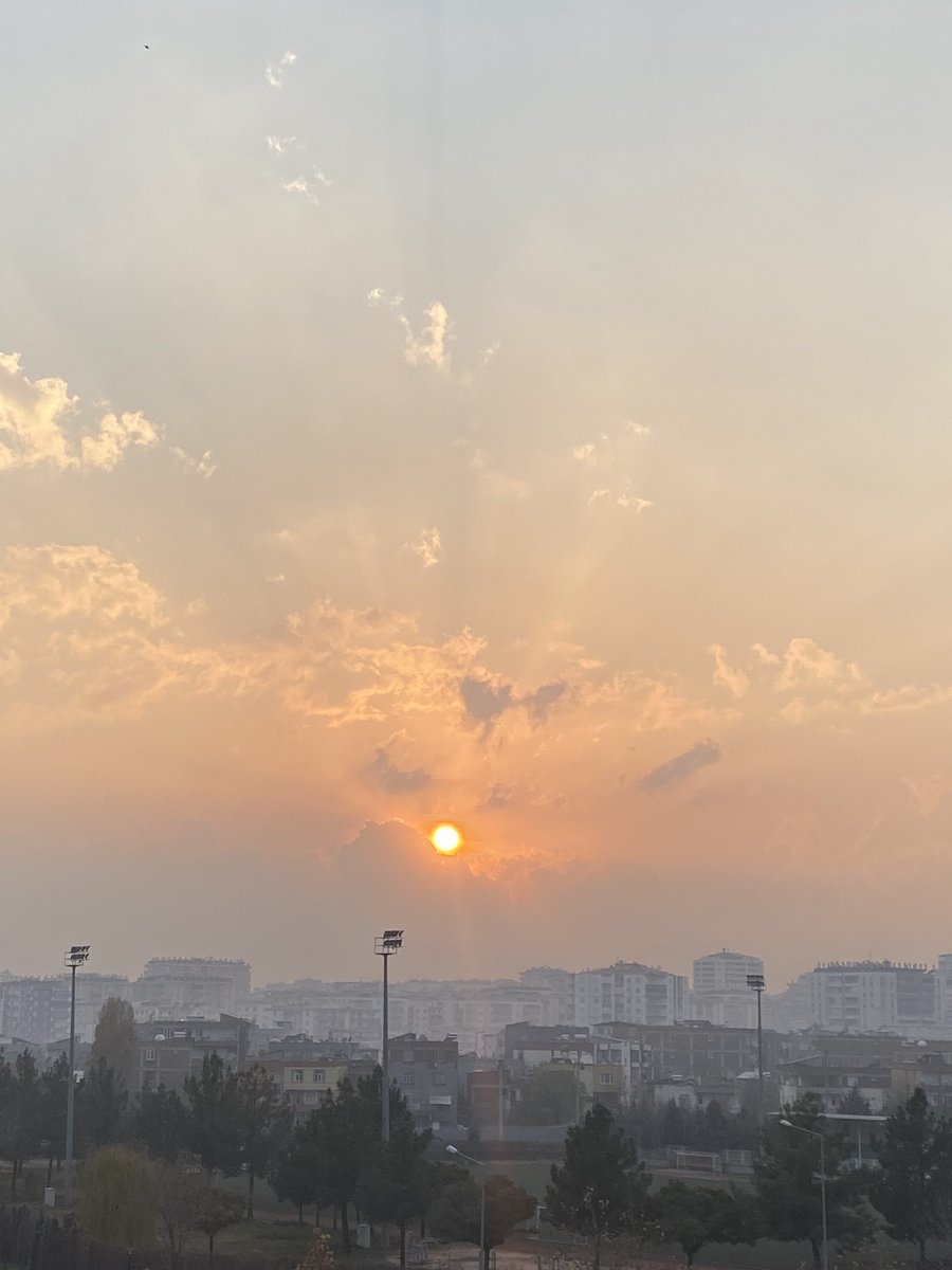 Bir gün daha bitti..
Tatsız,tuzsuz bir akşam..
Ben çok yorgunum 
Size iyi akşamlar dileyip ,uyumaya gidiyorum…🙏⭐️😴🌙
