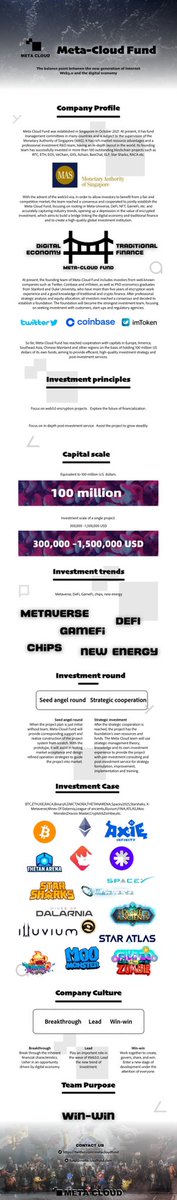 metacloudfund tweet media