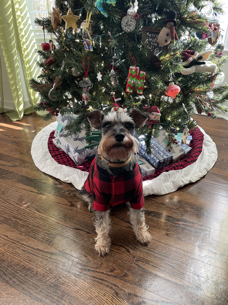 Natalie Peterson Peterson Real Estate Group (KW) (N_PetersonKW