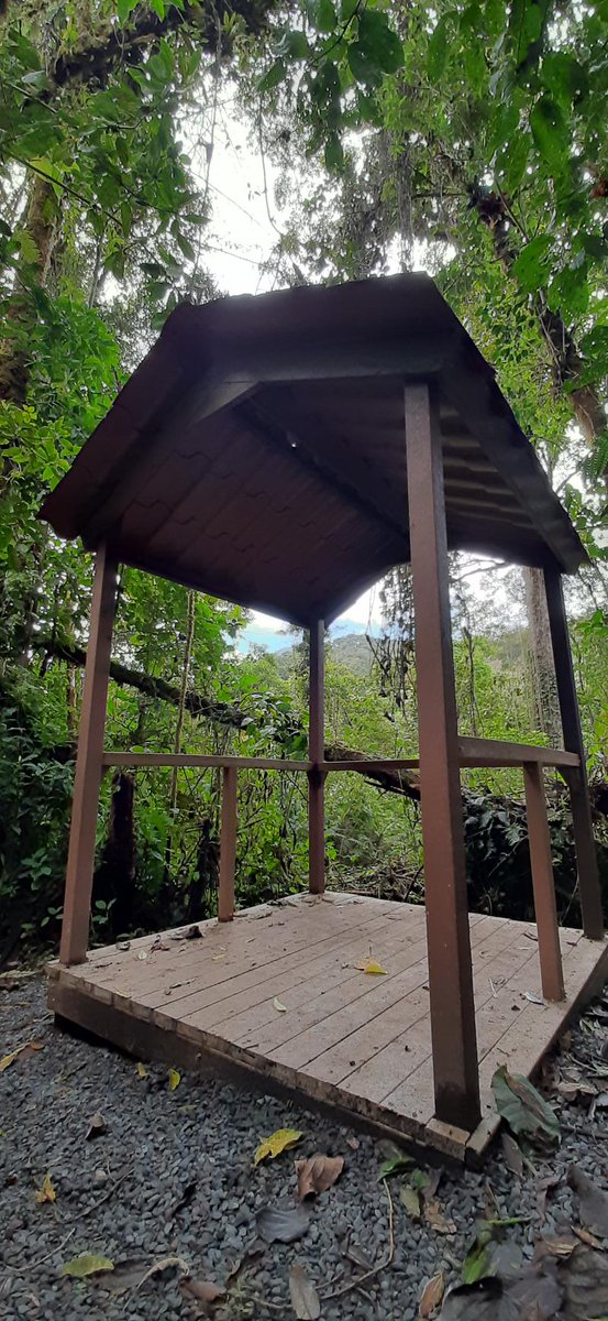 MiAmbientePma's tweet photo. #Chiriqui | Tras finalizar los trabajos de rehabilitación y mejoras que incluyen una nueva estación y puentes, anunciamos la reapertura del sendero Panamá Verde ubicado en el Parque Internacional La Amistad (PILA), en Las Nubes - Cerro Punta, distrito de Tierras Altas. https://t.co/j72Q7gKtK5