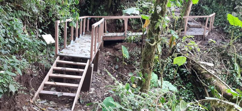 MiAmbientePma's tweet photo. #Chiriqui | Tras finalizar los trabajos de rehabilitación y mejoras que incluyen una nueva estación y puentes, anunciamos la reapertura del sendero Panamá Verde ubicado en el Parque Internacional La Amistad (PILA), en Las Nubes - Cerro Punta, distrito de Tierras Altas. https://t.co/j72Q7gKtK5