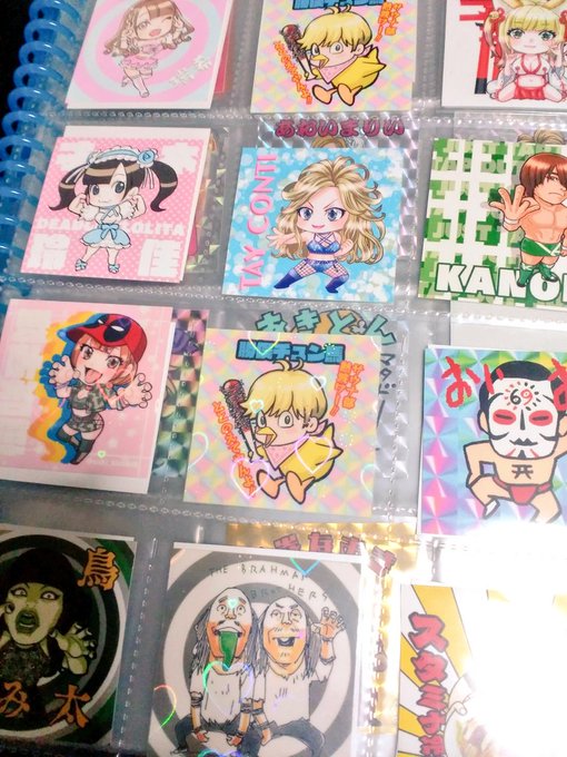みなさんの脳に直接話しかけています…
知っていますか…?
ダイソーにはビックリマンシールサイズの
ファイルポケットが売っている事を…
推し活シール部がめちゃくちゃ捗って
しまうのです…みなさん…シール活動…
シール…シーr… 