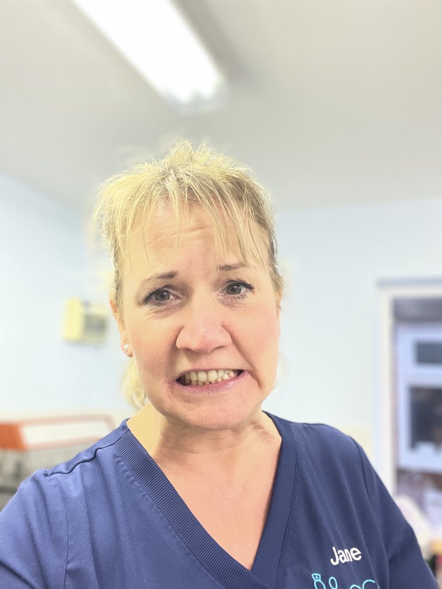 Jane Lambert tweet media