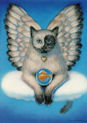 IsadoraDivaCat's tweet photo. @allyc375 I have no intention of doing so but if called upon I would have to do my duty...etc etc. https://t.co/FqGP5nwZDO