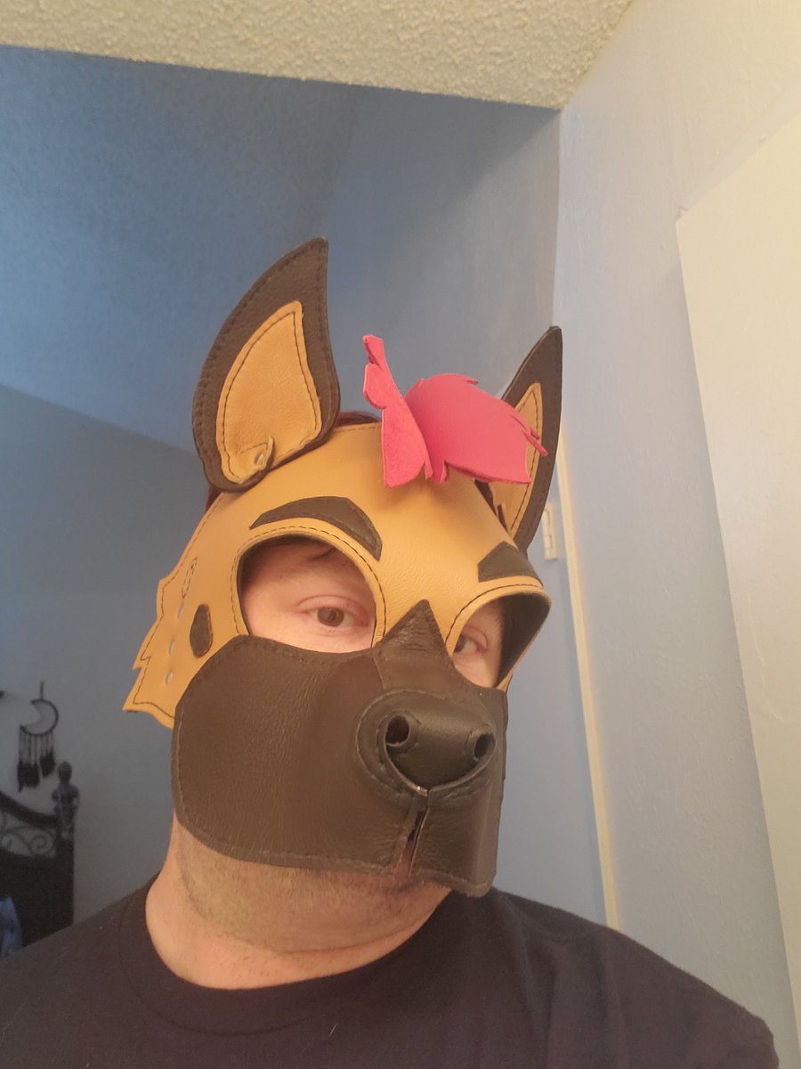 Hi! I'm Blaze! Just Rockin my <a href="/ScrapYardLthr/">Scrap Yard Leather</a> hood! Woof!